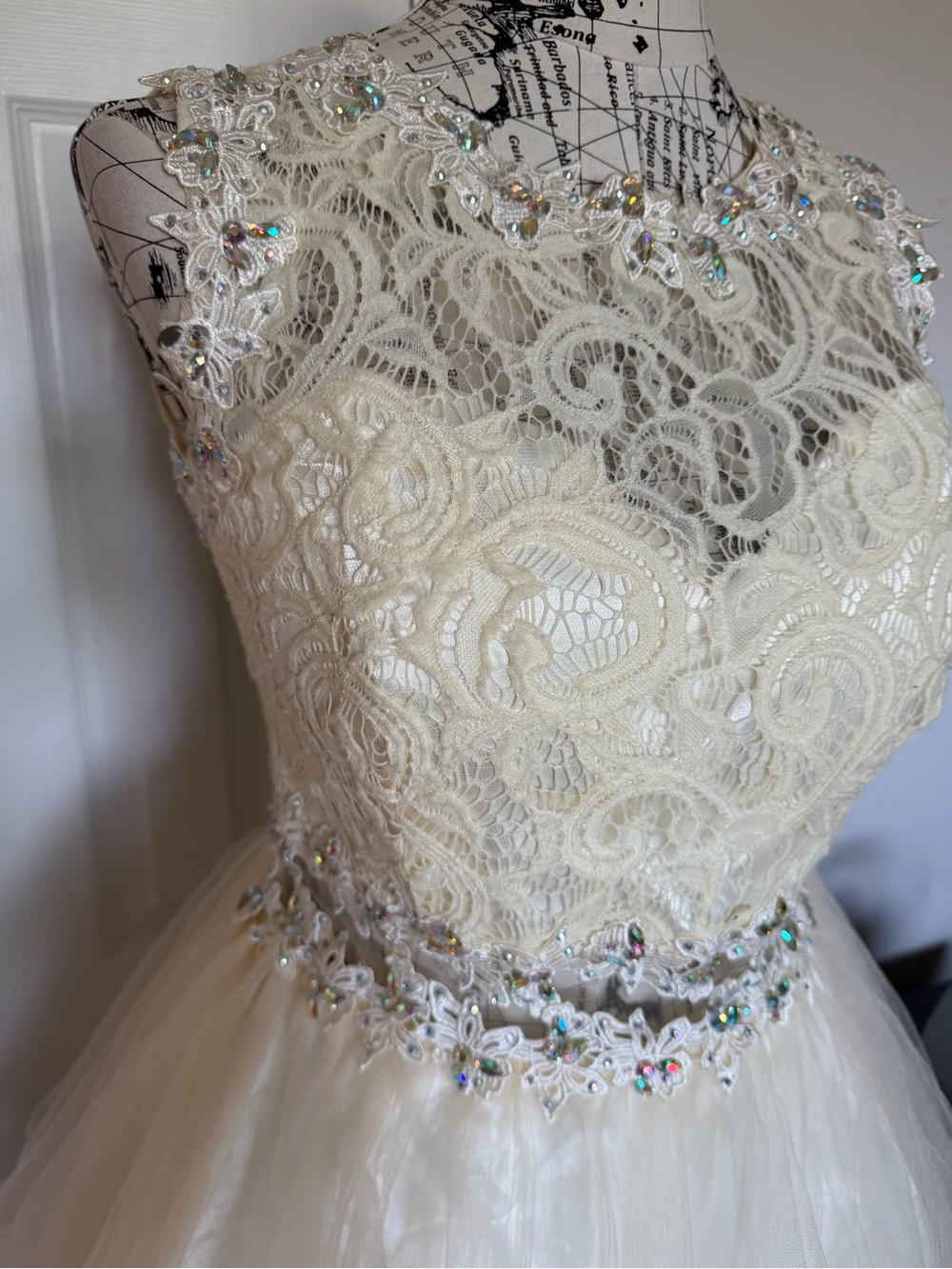 Elizabeth K GLS Embellish Lace sequin tulle Ivory A-Line Dress XXL Prom evening